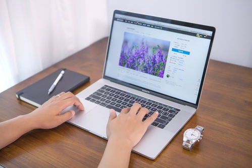 營(yíng)銷型網(wǎng)站建設(shè)的關(guān)鍵要點(diǎn)與軟件應(yīng)用指南