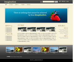 商丘網(wǎng)站建設(shè) 專業(yè)網(wǎng)站開(kāi)發(fā)與網(wǎng)絡(luò)公司選擇指南